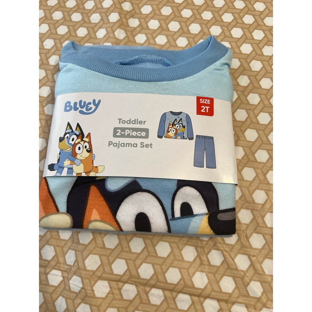 Blurry  Bluey &‎ Bingo 2 Piece Flannel Pajamas Size 2T